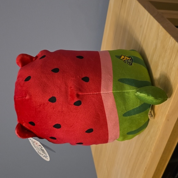 Watermelon Cat Jumbo Cat vs Pickles - Picture 3 of 4